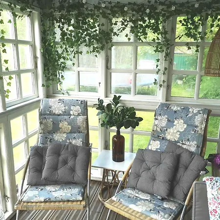 Beautiful On An Undisturbed Plot