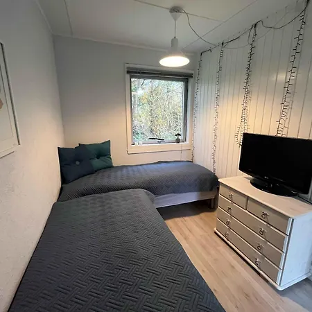 Beautiful On An Undisturbed Plot